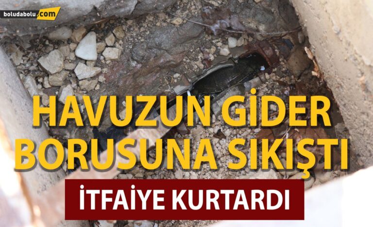 Havuzun gider borusuna sıkışan kaplumbağayı itfaiye kurtardı