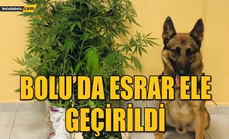 Bolu’da esrar ele geçirildi: 1 gözaltı