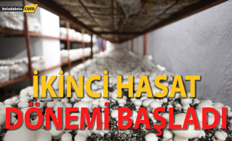 Çok hızlı büyüyorlar