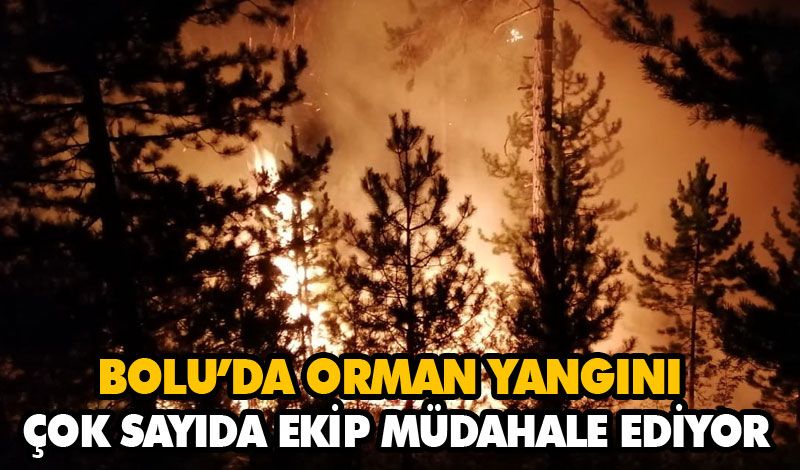 ÇOK SAYIDA EKİP MÜDAHALE EDİYOR ÇOK SAYIDA EKİP MÜDAHALE EDİYOR