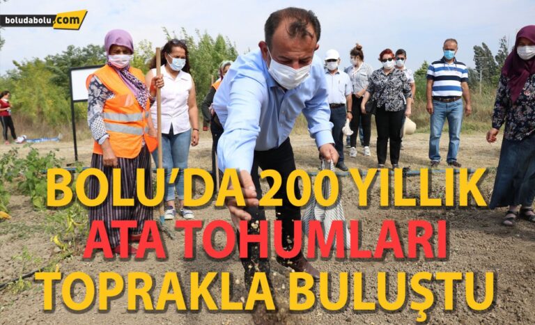 Bolu’da 200 yıllık ıspanak ata tohumları toprakla buluştu