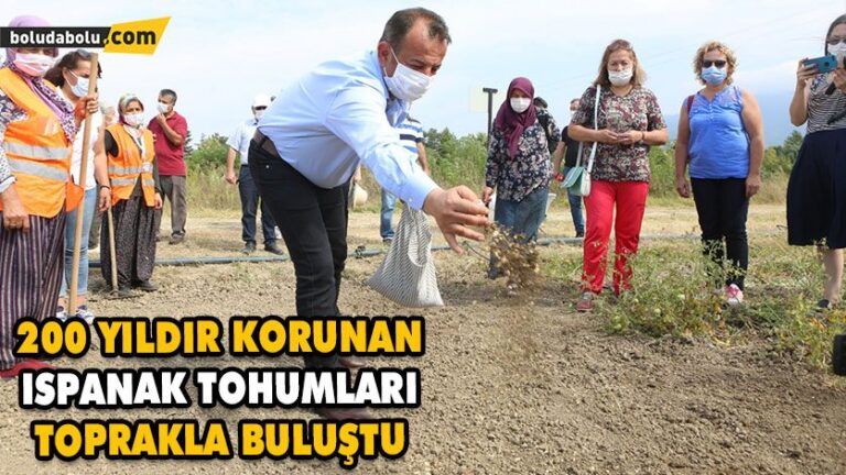 200 YILDIR KORUNAN ISPANAK TOHUMLARI TOPRAKLA BULUŞTU