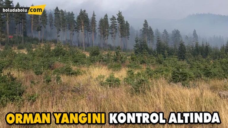 ORMAN YANGINI KONTROL ALTINA ALINDI