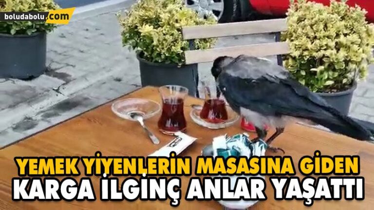 KARGANIN MASADAKİ YEMEKLERDEN AYRILMAMASI CEP TELEFONUYLA GÖRÜNTÜLENDİ
