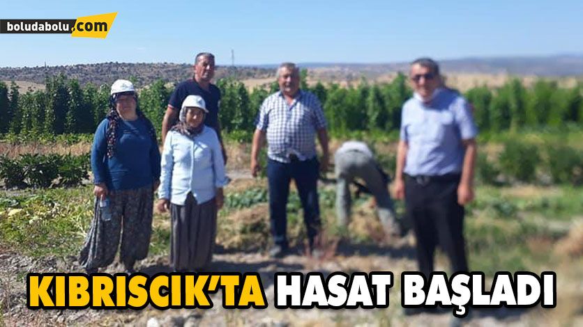YERLİ TARIM İLK ÜRÜNLERİNİ VERMEYE BAŞLADI YERLİ TARIM İLK ÜRÜNLERİNİ VERMEYE BAŞLADI