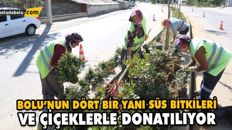 BOLU’NUN DÖRT BİR YANI SÜS BİTKİLERİ VE ÇİÇEKLERLE DONATILIYOR