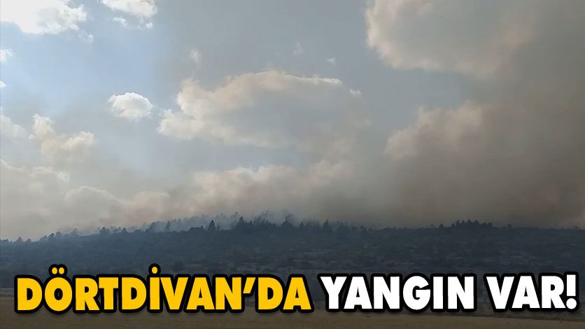 Dörtdivan’da yangın Dörtdivan’da yangın
