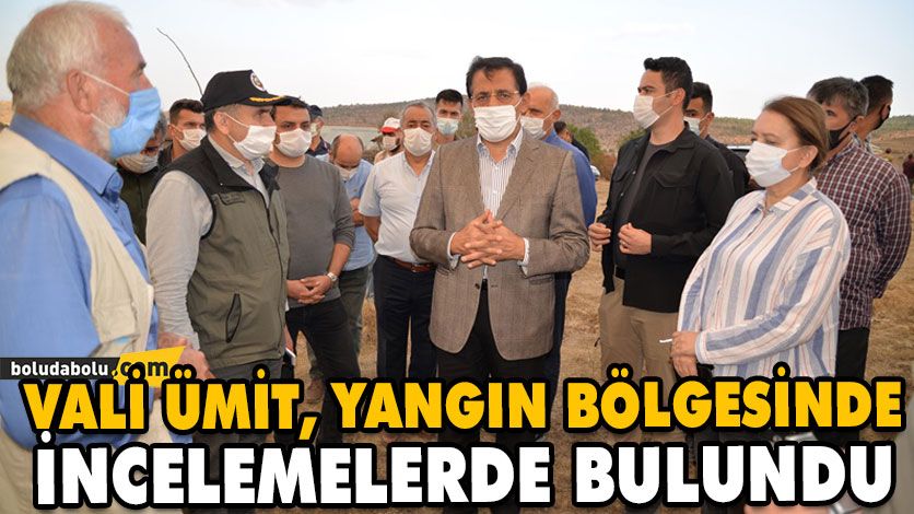 VALİ ÜMİT, YANGIN BÖLGESİNDE İNCELEMELERDE BULUNDU VALİ ÜMİT, YANGIN BÖLGESİNDE İNCELEMELERDE BULUNDU