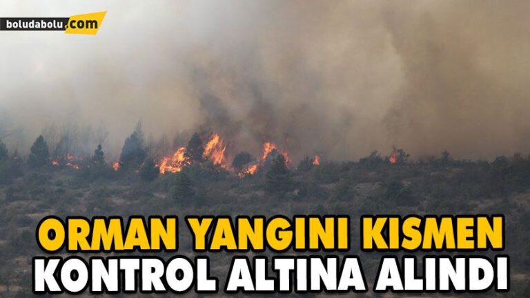 ORMAN YANGINI KISMEN KONTROL ALTINA ALINDI