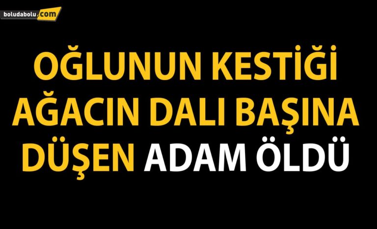Bolu’da, oğlunun kestiği ağacın dalı başına düşen adam öldü