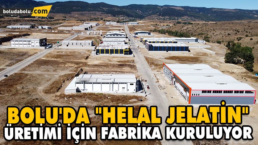 BOLU’DA “HELAL JELATİN” ÜRETİMİ İÇİN FABRİKA KURULUYOR BOLU’DA “HELAL JELATİN” ÜRETİMİ İÇİN FABRİKA KURULUYOR