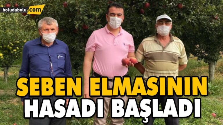 LEZZETİYLE ÜNLÜ ELMANIN HASADINA BAŞLANDI