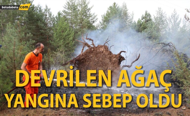 Bolu’da devrilen ağacın kopardığı elektrik teli ormanı yaktı