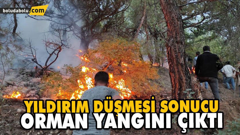 YILDIRIM DÜŞMESİ SONUCU ORMAN YANGINI ÇIKTI YILDIRIM DÜŞMESİ SONUCU ORMAN YANGINI ÇIKTI