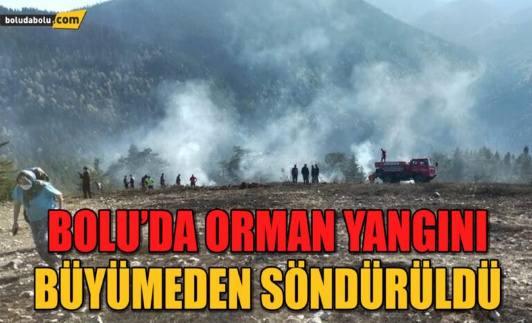 Bolu’da, orman yangını büyümeden söndürüldü
