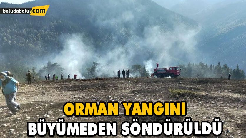 ORMAN YANGINI BÜYÜMEDEN SÖNDÜRÜLDÜ ORMAN YANGINI BÜYÜMEDEN SÖNDÜRÜLDÜ