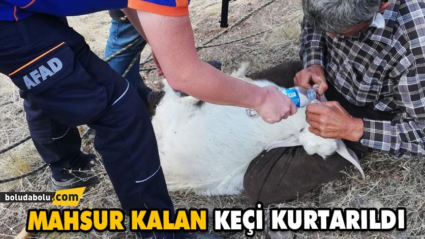 MAHSUR KALAN KEÇİ KURTARILDI MAHSUR KALAN KEÇİ KURTARILDI