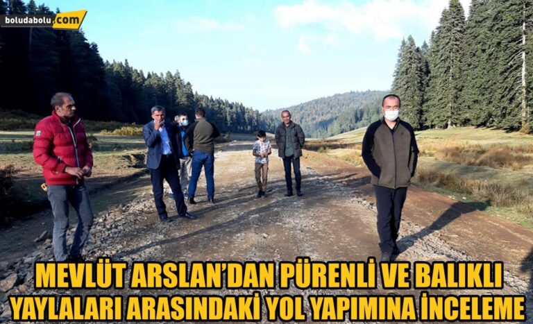 Mevlüt Arslan’dan yol incelemesi