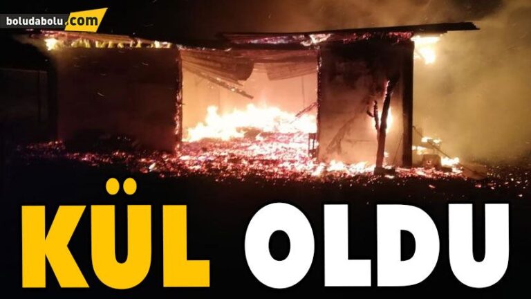 Yayla evi kül oldu