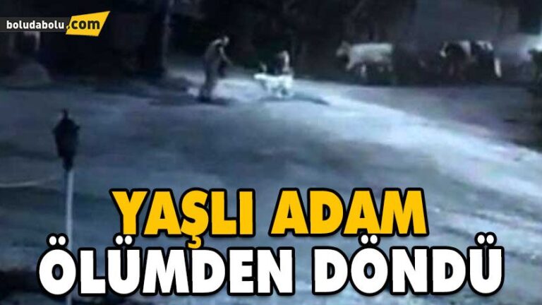 KÖPEKLERİN YAŞLI ADAMA SALDIRMASI GÜVENLİK KAMERASINA YANSIDI