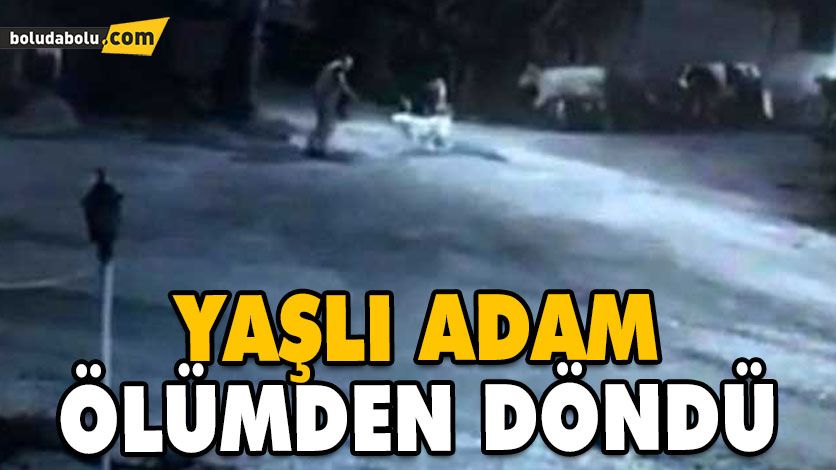 KÖPEKLERİN YAŞLI ADAMA SALDIRMASI GÜVENLİK KAMERASINA YANSIDI