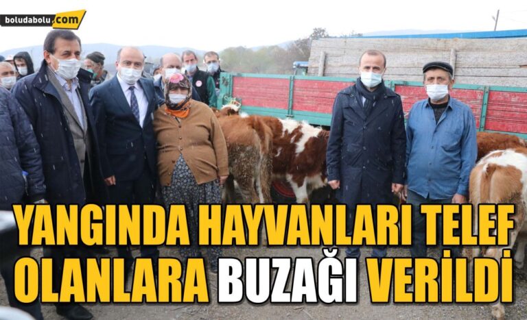 Tarım ve Orman Bakan Yardımcısı, Bolu’daki afetzedeleri ziyaret etti