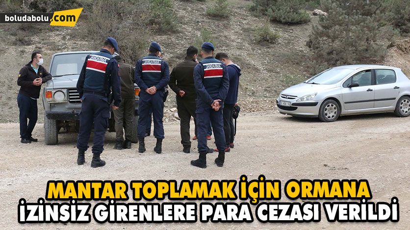 MANTAR TOPLAMAK İÇİN ORMANA İZİNSİZ GİRENLERE PARA CEZASI VERİLDİ MANTAR TOPLAMAK İÇİN ORMANA İZİNSİZ GİRENLERE PARA CEZASI VERİLDİ