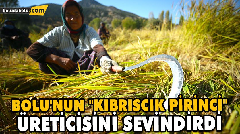 Yoğun talep görüyor Yoğun talep görüyor
