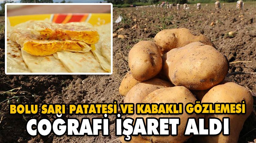 TSO İKİ ÜRÜNÜ DAHA TESCİL ETTİRDİ TSO İKİ ÜRÜNÜ DAHA TESCİL ETTİRDİ