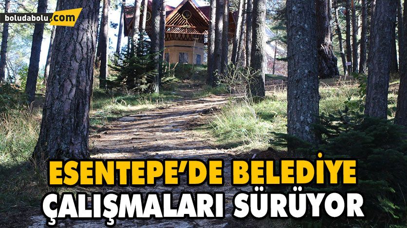 ESENTEPE’YE YENİ YÜRÜYÜŞ YOLLARI YAPILDI ESENTEPE’YE YENİ YÜRÜYÜŞ YOLLARI YAPILDI