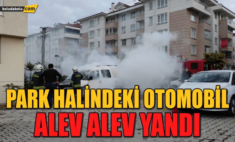 Bolu’da park halindeki otomobil alev alev yandı