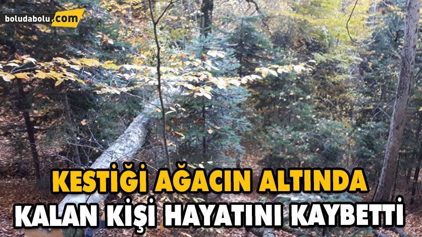 KESTİĞİ AĞACIN ALTINDA KALAN KİŞİ HAYATINI KAYBETTİ KESTİĞİ AĞACIN ALTINDA KALAN KİŞİ HAYATINI KAYBETTİ
