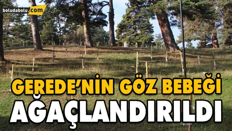 ESENTEPE’DE AĞAÇLANDIRMA ÇALIŞMASI