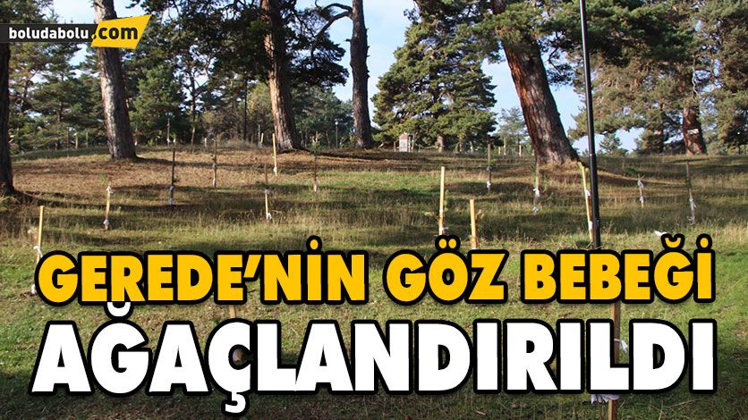 ESENTEPE’DE AĞAÇLANDIRMA ÇALIŞMASI