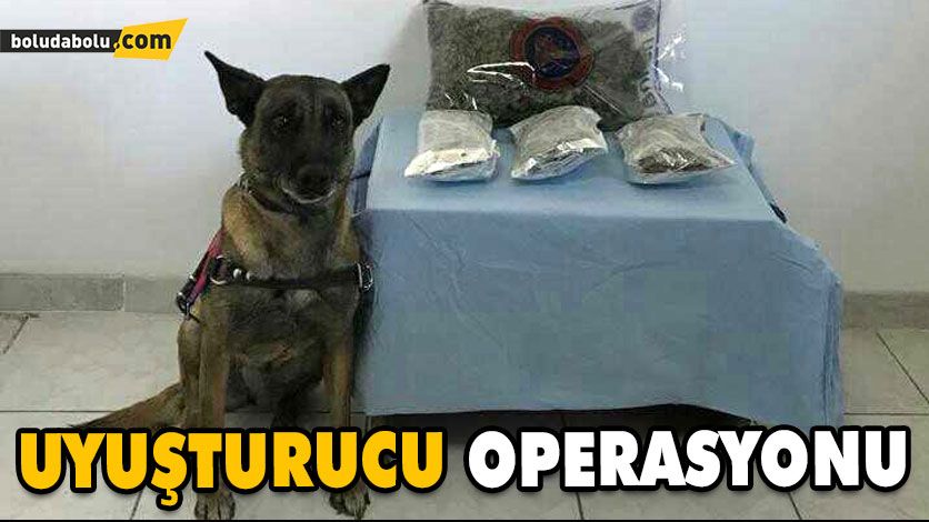 UYUŞTURUCU OPERASYONU UYUŞTURUCU OPERASYONU