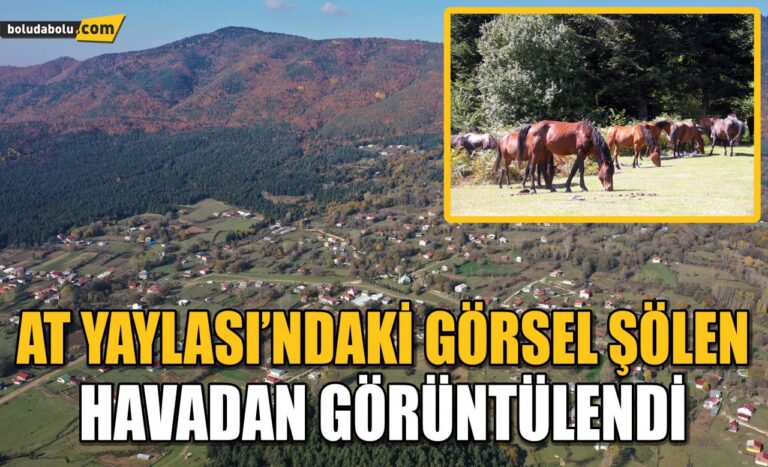 Bolu’da ‘Yılkı Atları’nın evi At Yaylası’nda sonbahar güzelliği