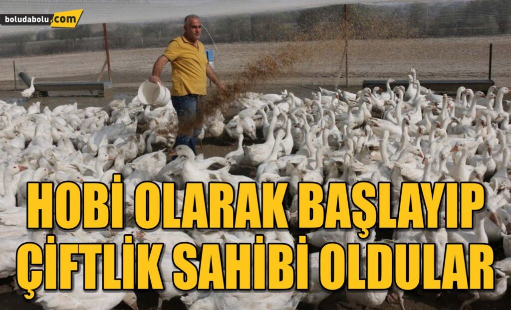 HOBİLERİ KAZANCA DÖNÜŞTÜ HOBİLERİ KAZANCA DÖNÜŞTÜ