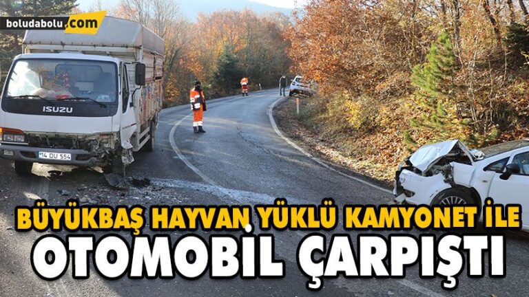 BÜYÜKBAŞ HAYVAN YÜKLÜ KAMYONET İLE OTOMOBİL ÇARPIŞTI