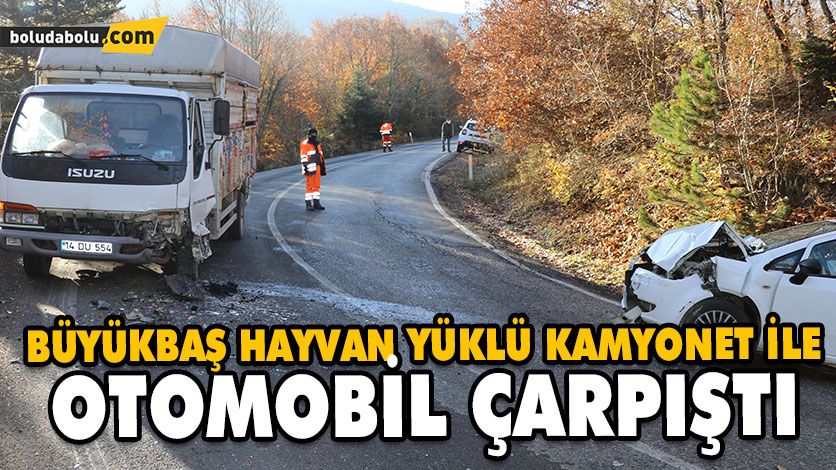 BÜYÜKBAŞ HAYVAN YÜKLÜ KAMYONET İLE OTOMOBİL ÇARPIŞTI BÜYÜKBAŞ HAYVAN YÜKLÜ KAMYONET İLE OTOMOBİL ÇARPIŞTI