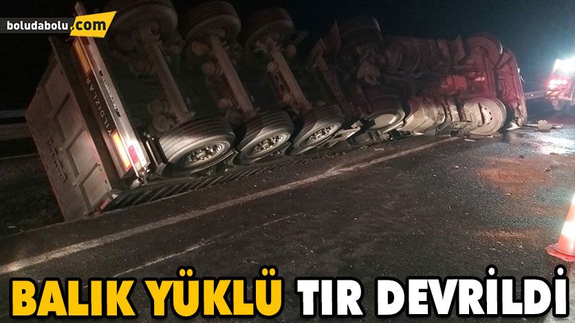 BALIK YÜKLÜ TIR DEVRİLDİ: 1 YARALI BALIK YÜKLÜ TIR DEVRİLDİ: 1 YARALI