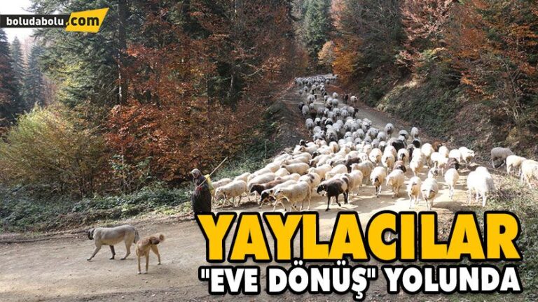 YAYLACILAR “EVE DÖNÜŞ” YOLUNDA