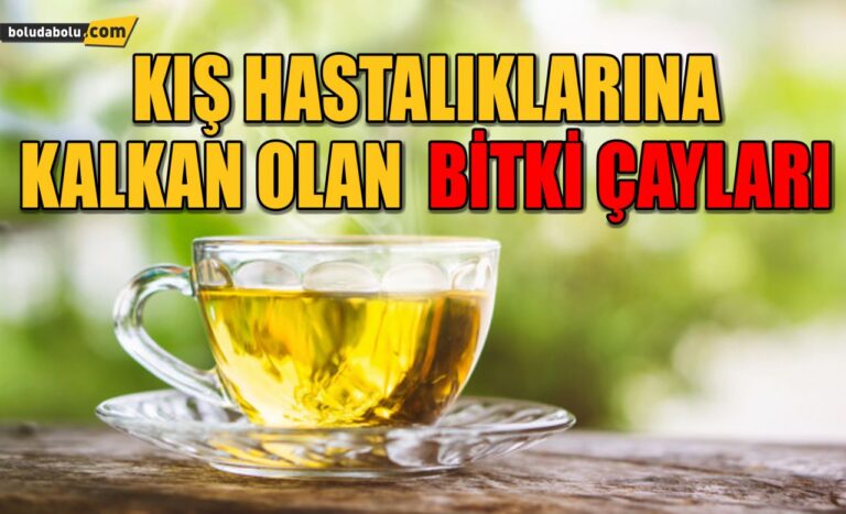 KIŞ HASTALIKLARINA KALKAN OLAN BİTKİ ÇAYLARI
