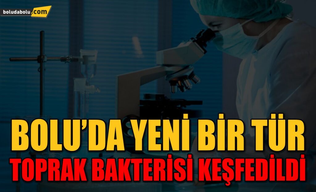 BOLU’DA YENİ BİR TÜR TOPRAK BAKTERİSİ KEŞFEDİLDİ