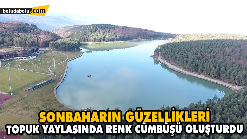 SONBAHARIN GÜZELLİKLERİ TOPUK YAYLASINDA RENK CÜMBÜŞÜ OLUŞTURDU