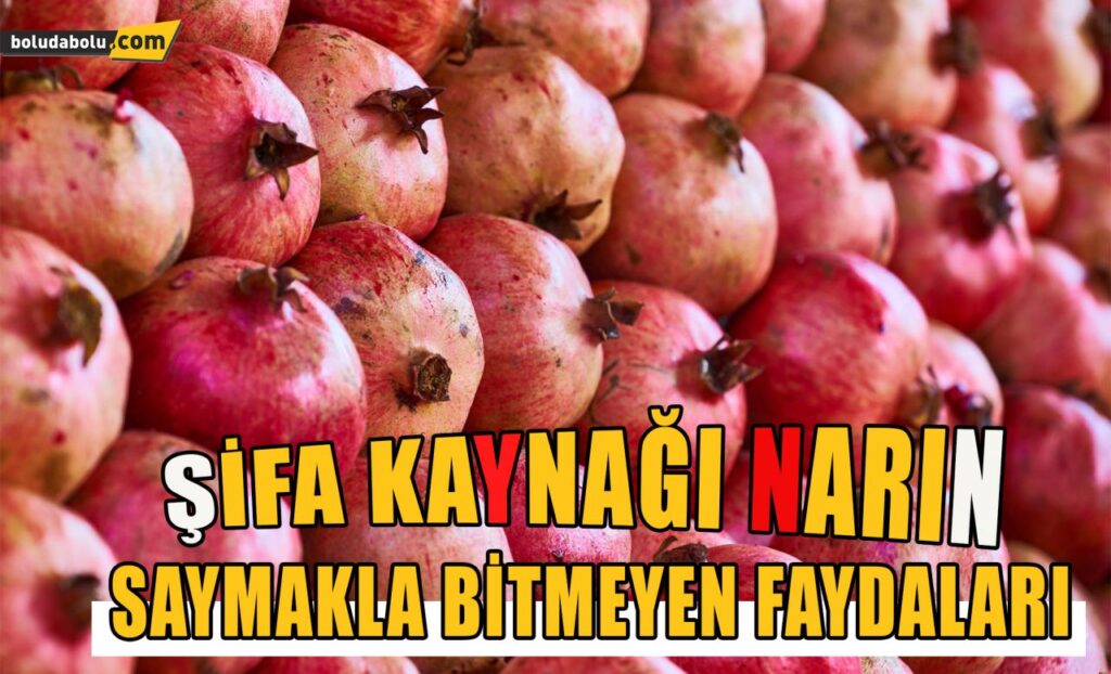 Şifa kaynağı narın saymakla bitmeyen faydaları Şifa kaynağı narın saymakla bitmeyen faydaları