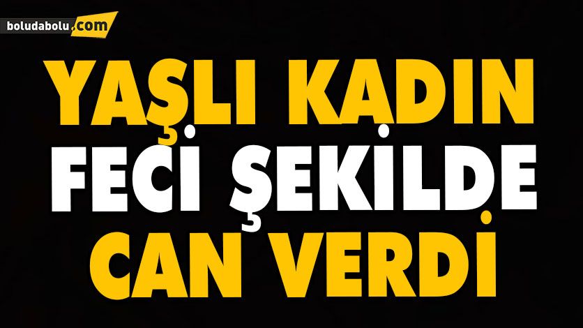 DAMADININ GERİ MANEVRA YAPARKEN KAMYONETLE ÇARPTIĞI KADIN ÖLDÜ DAMADININ GERİ MANEVRA YAPARKEN KAMYONETLE ÇARPTIĞI KADIN ÖLDÜ