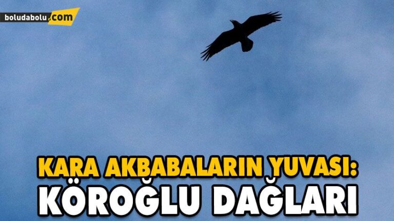 KARA AKBABALARIN YUVASI: KÖROĞLU DAĞLARI