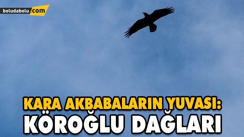 KARA AKBABALARIN YUVASI: KÖROĞLU DAĞLARI KARA AKBABALARIN YUVASI: KÖROĞLU DAĞLARI