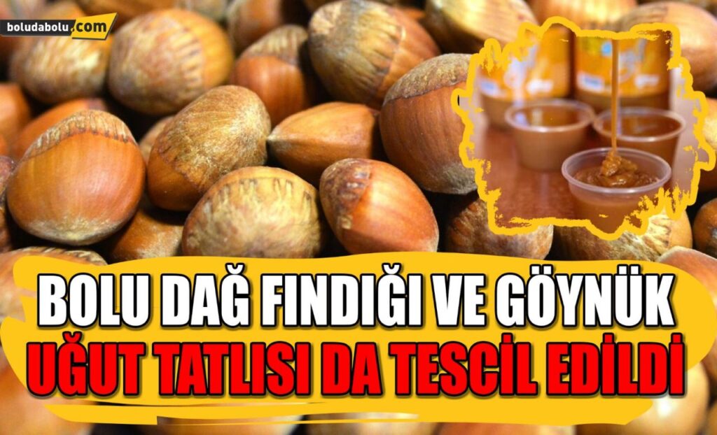 BOLU DAĞ FINDIĞI VE GÖYNÜK UĞUT TATLISI DA TESCİL EDİLDİ BOLU DAĞ FINDIĞI VE GÖYNÜK UĞUT TATLISI DA TESCİL EDİLDİ