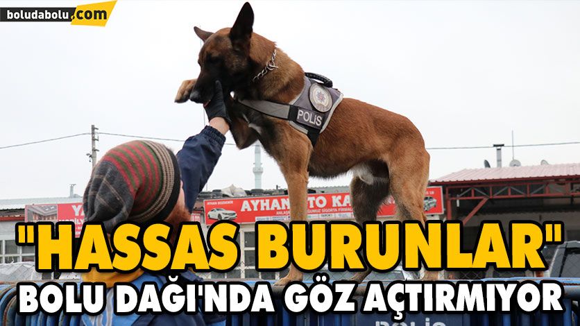 “ARTOS” VE “SEZAR” “ZEHİR TACİRLERİNE” GEÇİT VERMİYOR “ARTOS” VE “SEZAR” “ZEHİR TACİRLERİNE” GEÇİT VERMİYOR